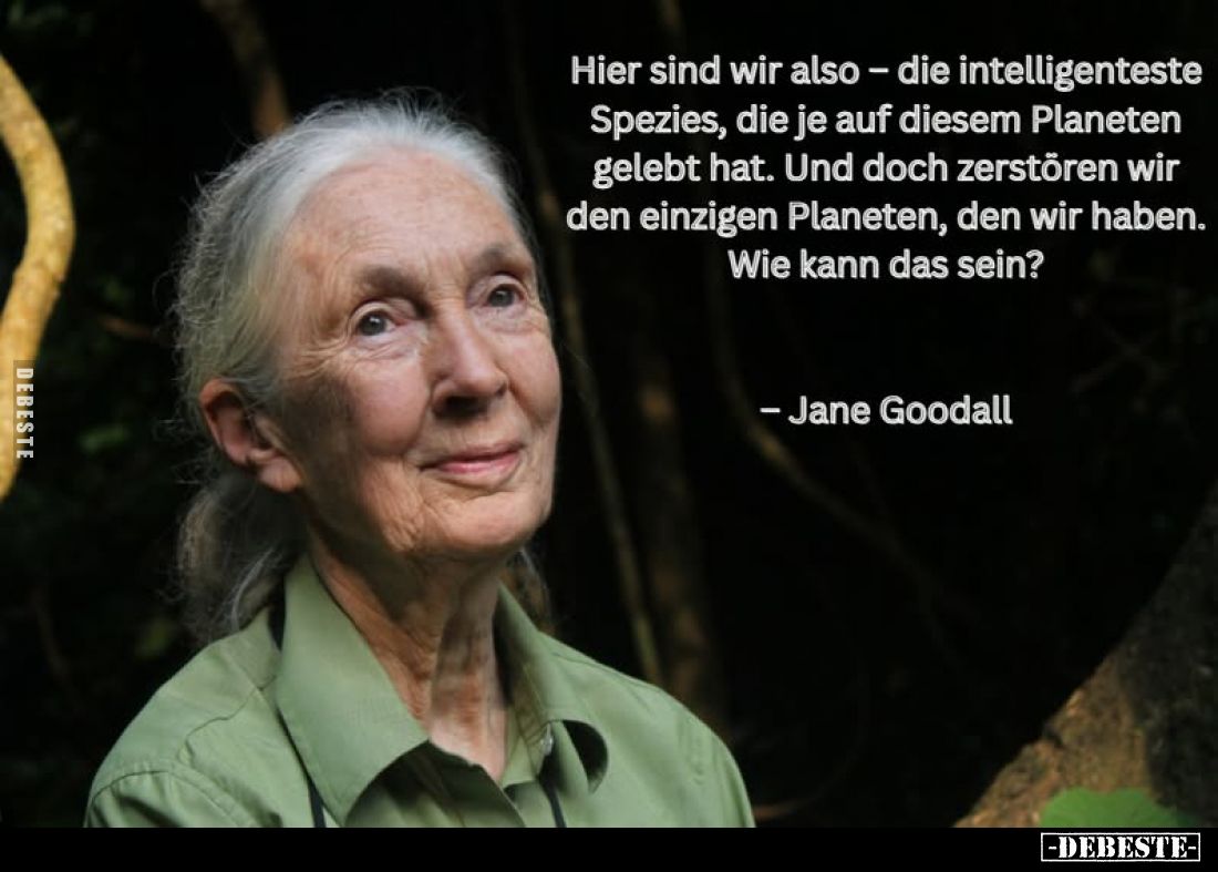 Hier sind wir also - die intelligenteste Spezies, die je auf diesem Planeten gelebt hat. Und doch zerstören wir den einzigen ...