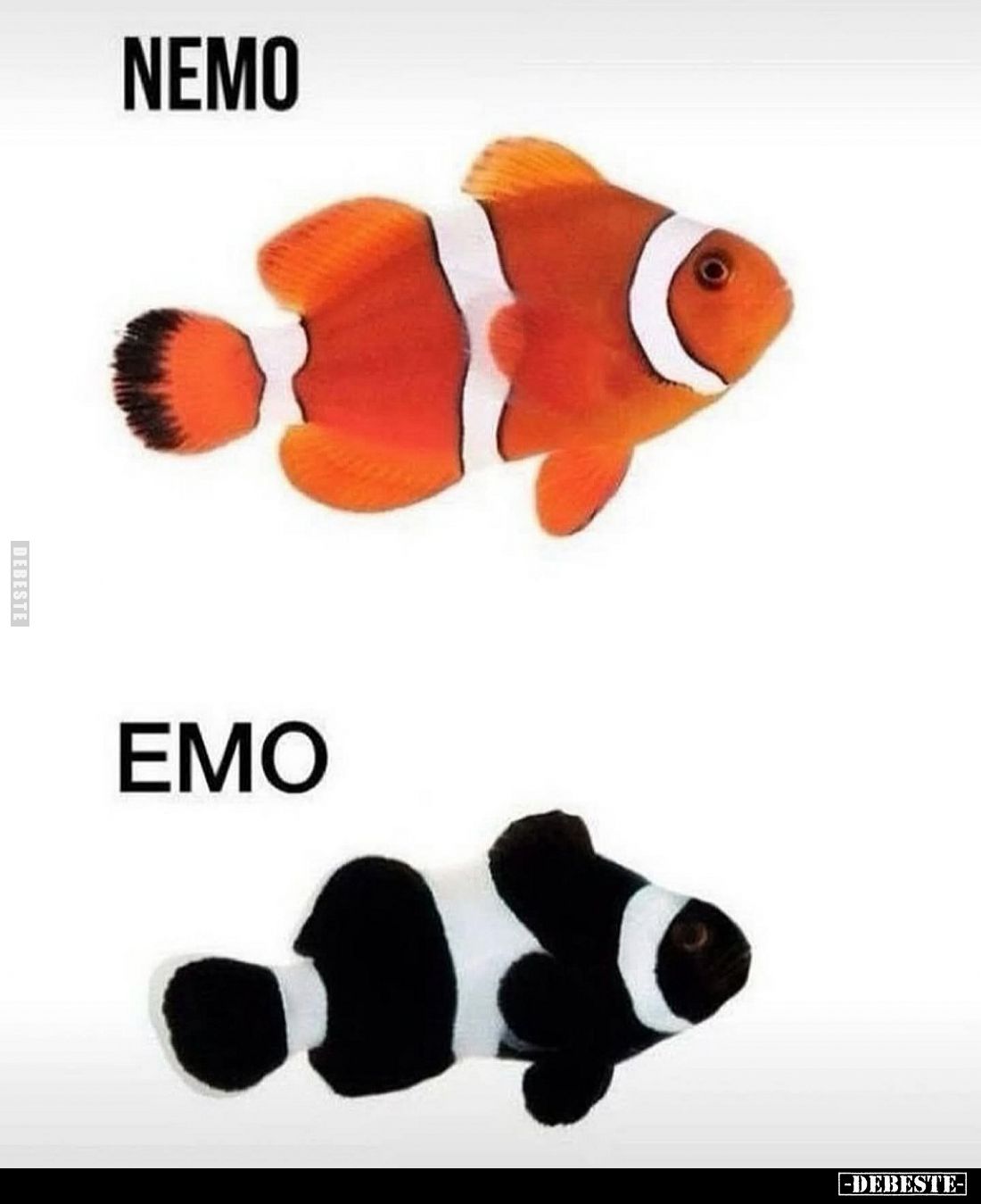Nemo - Emo