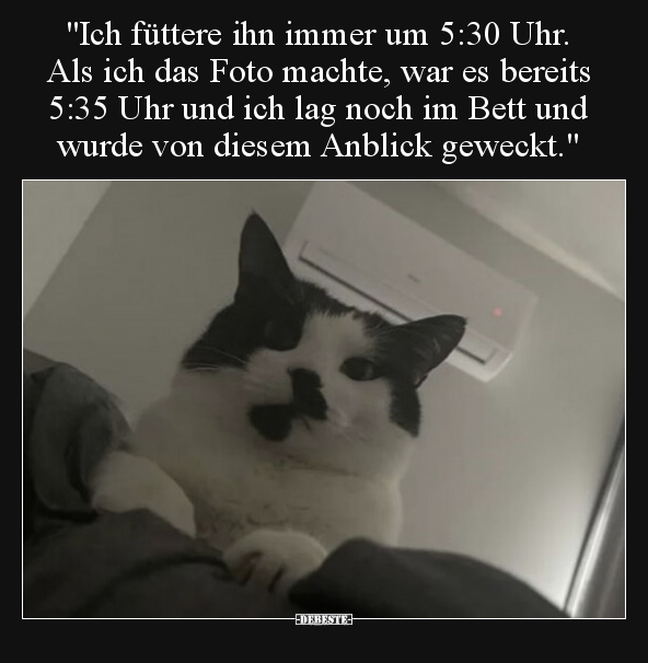 "Ich füttere ihn immer um 5:30 Uhr. Als ich das Foto.." - Lustige Bilder | DEBESTE.de