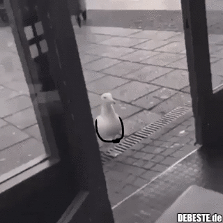 Verdammt guter heist..