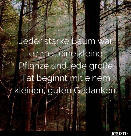 Jeder starke Baum war einmal eine kleine Pflanze und jede.. - Lustige Bilder | DEBESTE.de