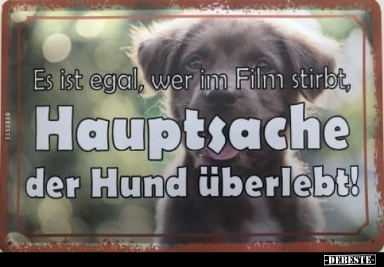 Es ist egal, wer im Film stirbt, Hauptsache der Hund Es ist egal, wer im Film stirbt, Hauptsache der Hund überlebt!.. - Lustige Bilder | DEBESTE.de