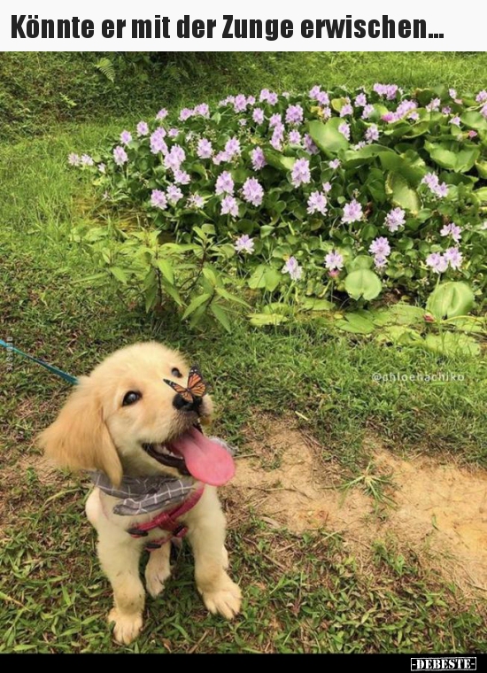 Könnte er mit der Zunge erwischen...