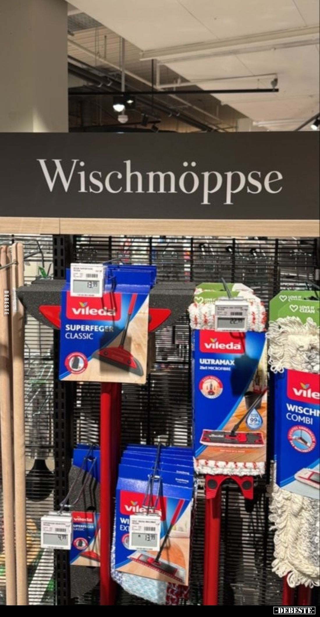 Wischmöppse.
