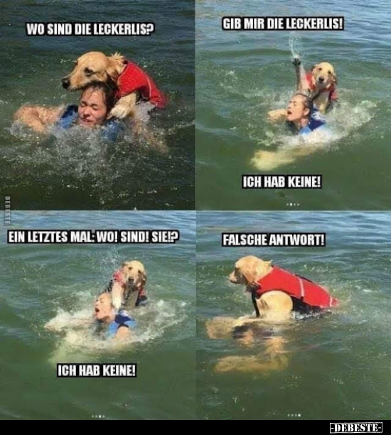 Wo sind die Leckerlis?