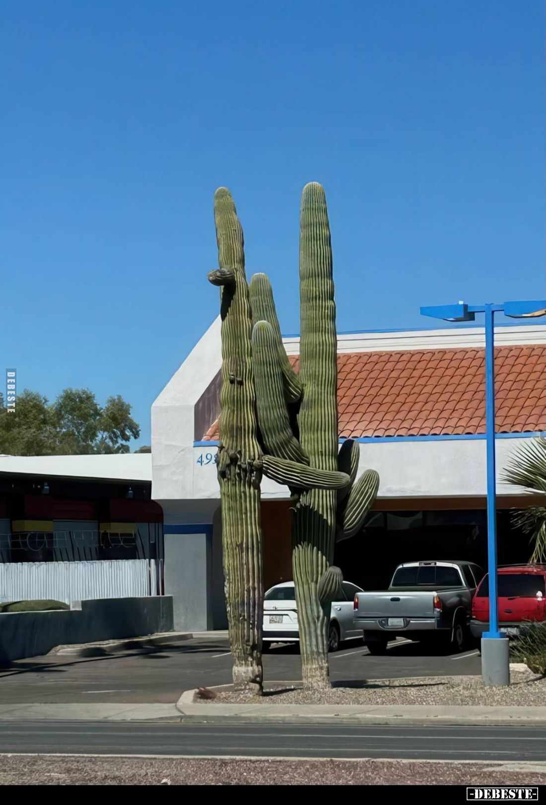  - Lustige Bilder | DEBESTE.de