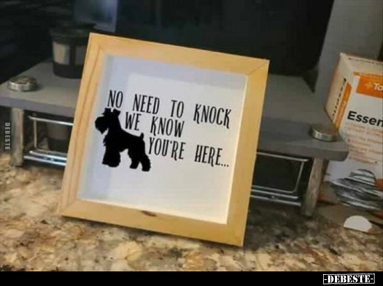 NO NEED TO KNOCK WE KNOW YOU'RE HERE...