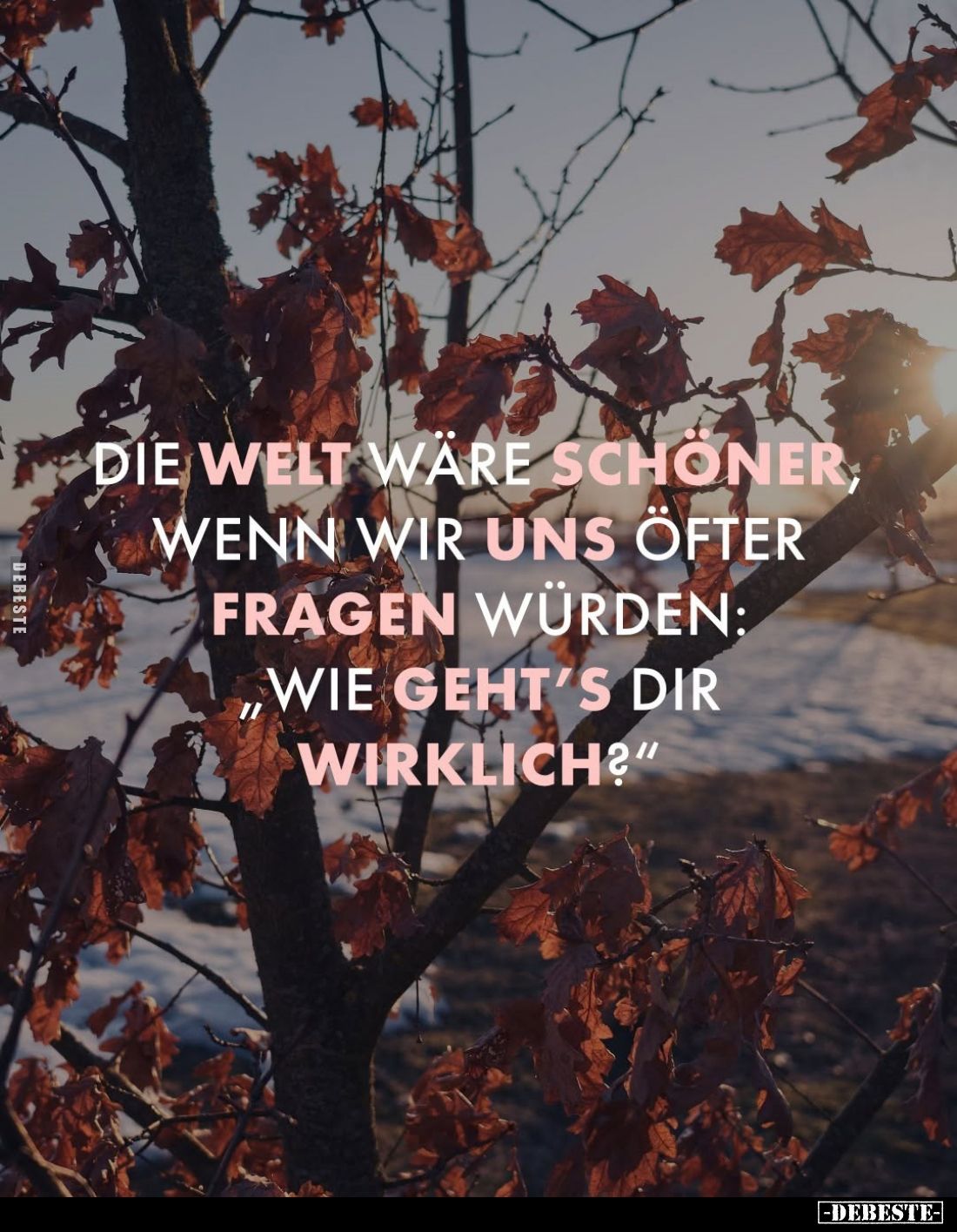 Die Welt wäre schöner, wenn wir uns öfter fragen würden: ,,Wie geht's dir wirklich?"