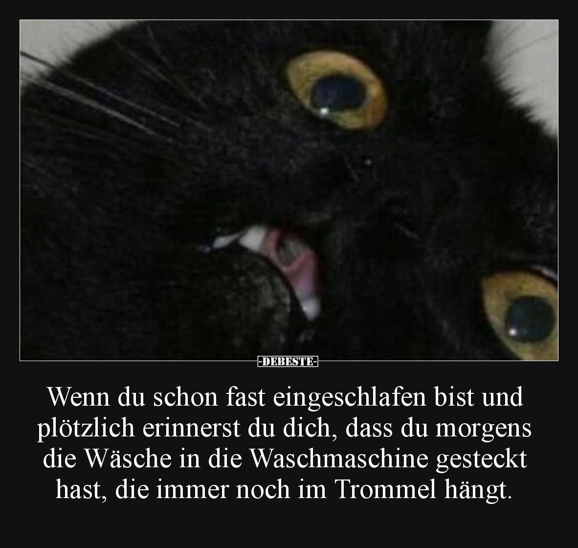 Wenn du schon fast eingeschlafen bist und plötzlich erinnerst du dich, dass du morgens die Wäsche in die Waschmaschine gestec...