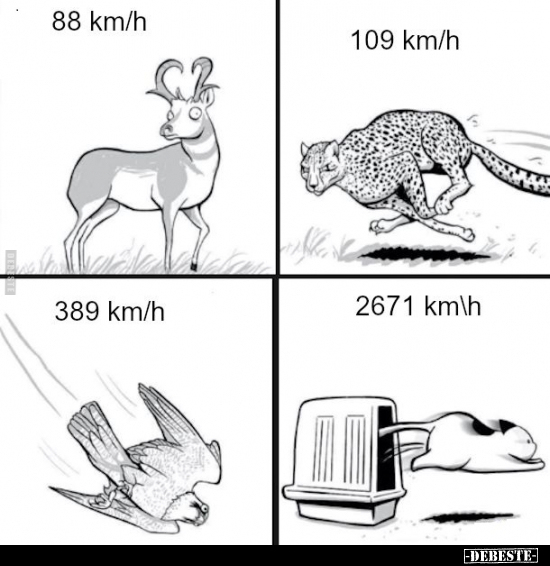  - Lustige Bilder | DEBESTE.de