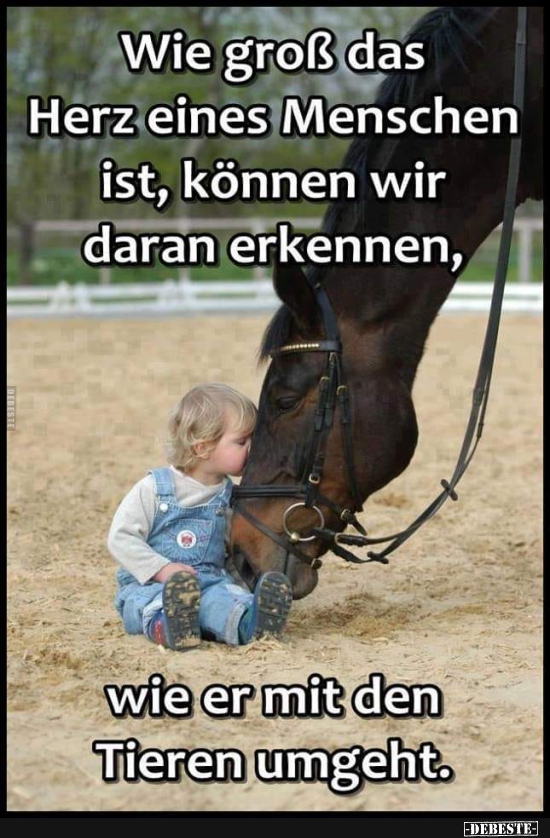 Wie groß das Herz eines Menschen ist..