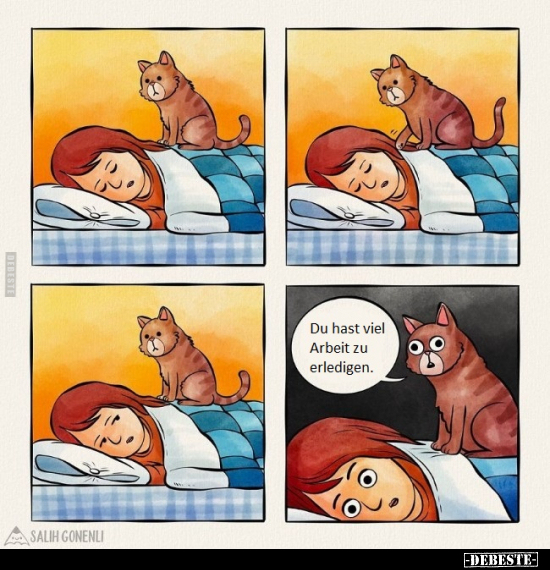 Du hast viel Arbeit zu erledigen...