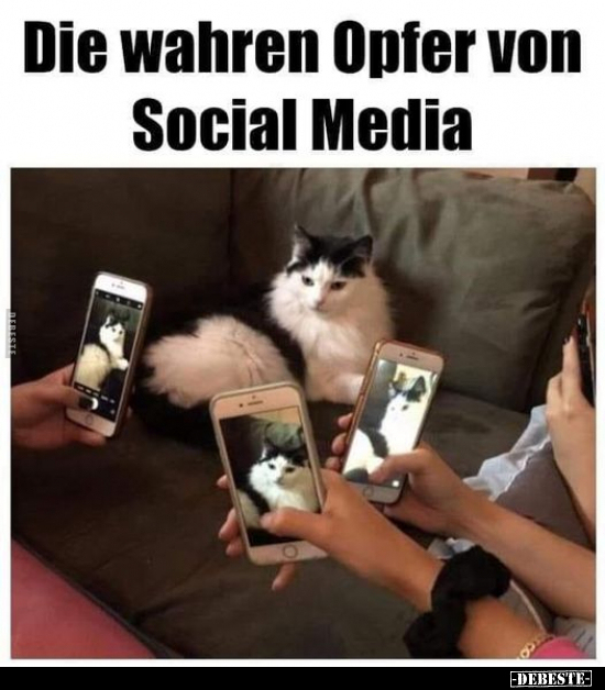 Die wahren Opfer von Social Media