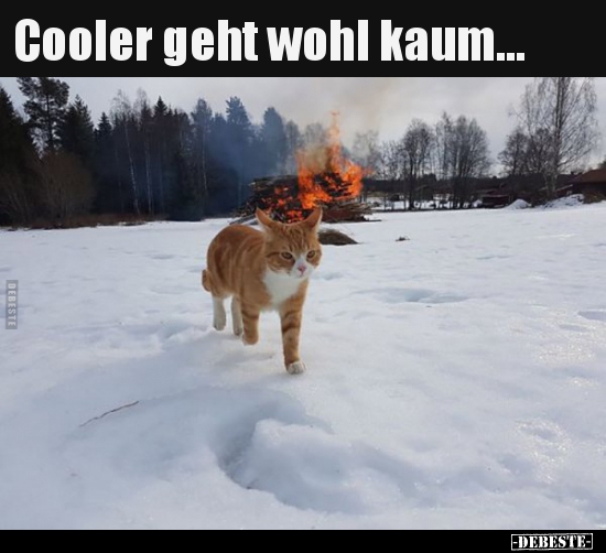 Cooler geht wohl kaum... - Lustige Bilder | DEBESTE.de