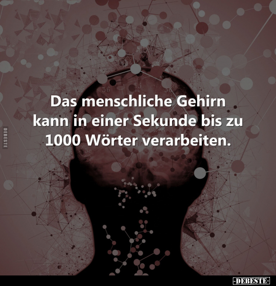 Das menschliche Gehirn kann in einer Sekunde.. - Lustige Bilder | DEBESTE.de