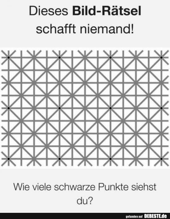 Dieses Bild-Rätsel schafft niemand! - Lustige Bilder | DEBESTE.de