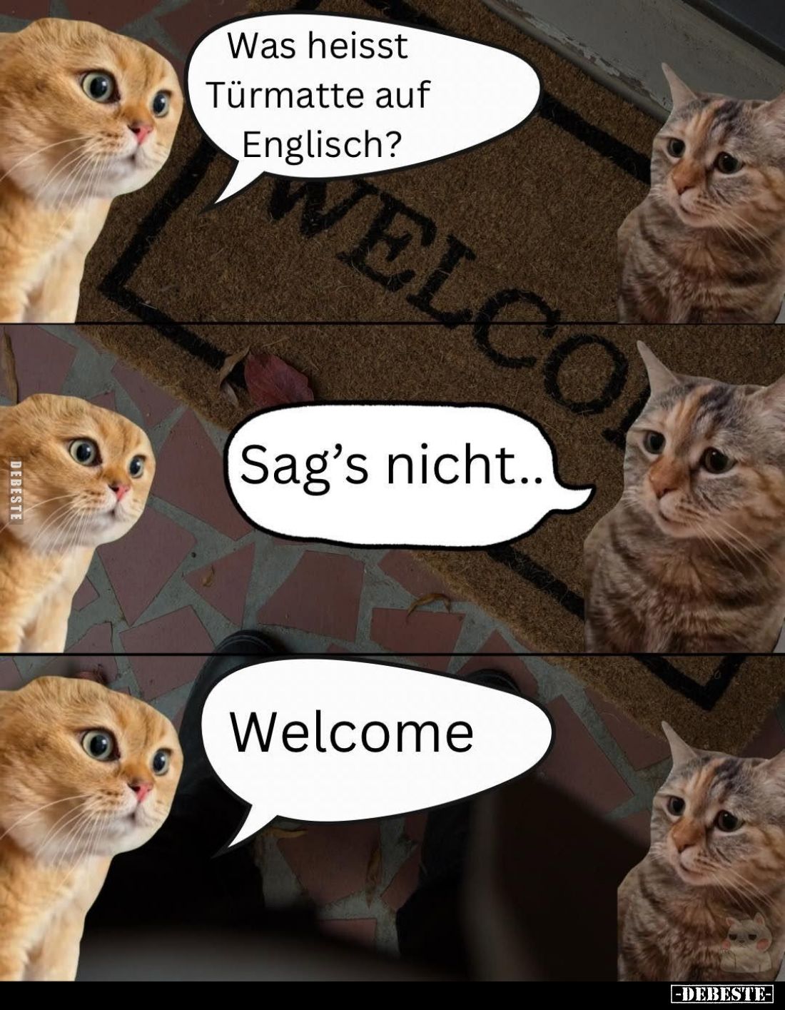 Was heißt Türmatte auf Englisch?
-
Sag's nicht.. -
Welcome.