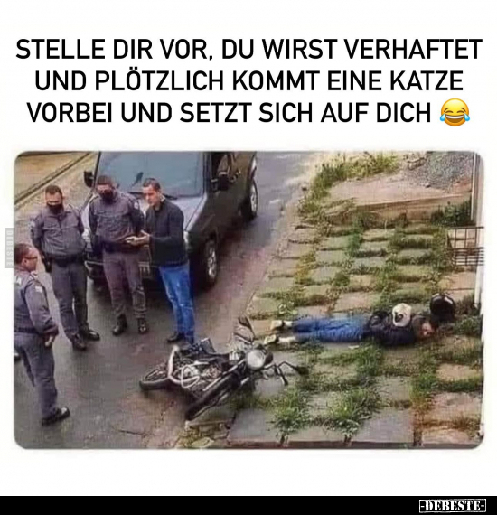 Stelle dir vor, du wirst verhaftet und plötzlich kommt.. - Lustige Bilder | DEBESTE.de