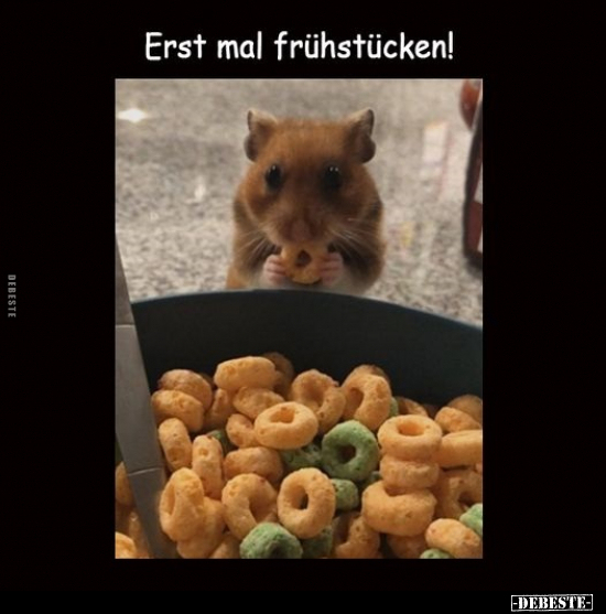 Erst mal frühstücken!.. - Lustige Bilder | DEBESTE.de