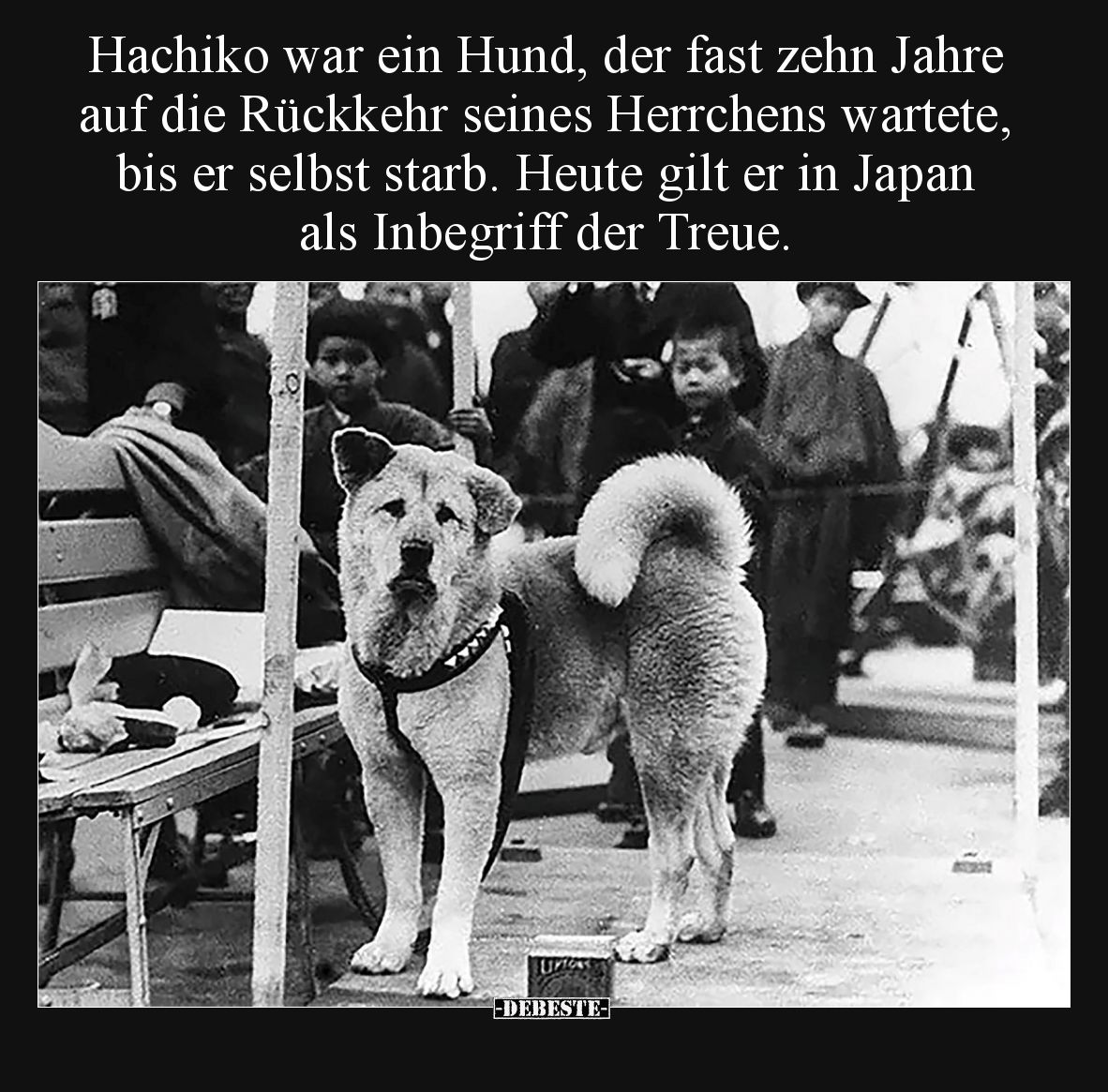 Hachiko war ein Hund, der fast zehn Jahre auf die Rückkehr seines Herrchens wartete, bis er selbst starb. Heute gilt er in Ja...