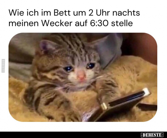 Wie ich im Bett um 2 Uhr nachts meinen Wecker auf.. - Lustige Bilder | DEBESTE.de