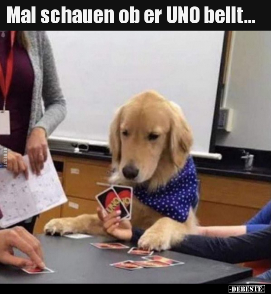 Mal schauen ob er UNO bellt...