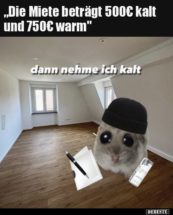 "Die Miete beträgt 500€ kalt und 750€ warm".. - Lustige Bilder | DEBESTE.de
