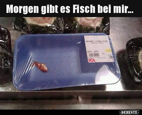 Morgen gibt es Fisch bei mir.. - Lustige Bilder | DEBESTE.de