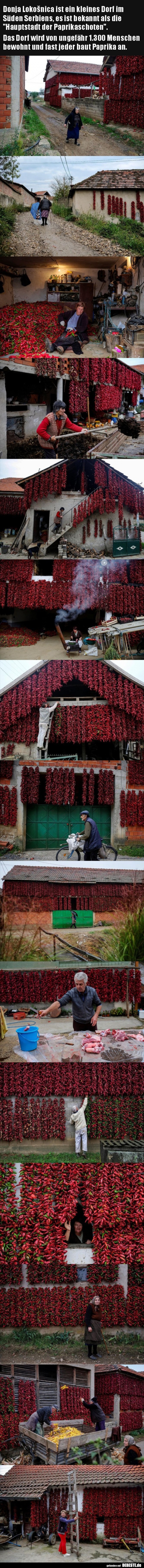 Donja Lokošnica ist ein kleines Dorf im Süden Serbiens..