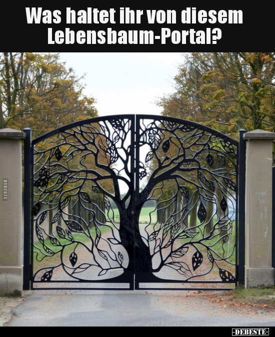 Was haltet ihr von diesem Lebensbaum-Portal?.. - Lustige Bilder | DEBESTE.de