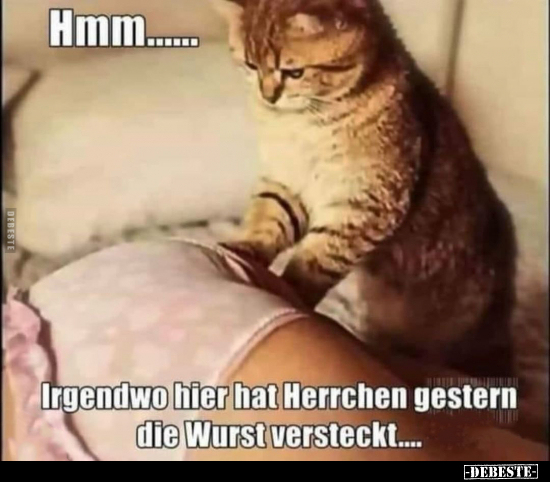 Hmm.... Irgendwo hier hat Herrchen gestern die Wurst.. - Lustige Bilder | DEBESTE.de