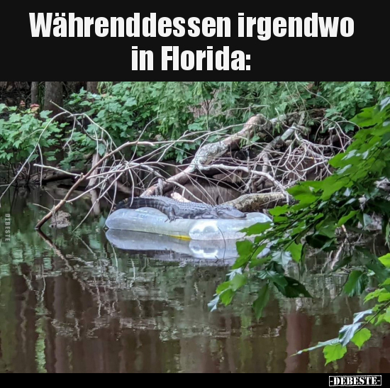 Währenddessen irgendwo in Florida..