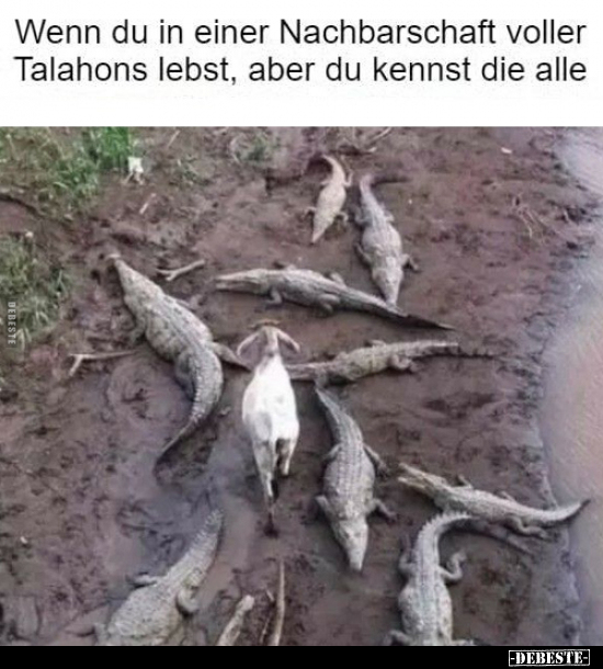 Wenn du in einer Nachbarschaft voller Talahons lebst.. - Lustige Bilder | DEBESTE.de