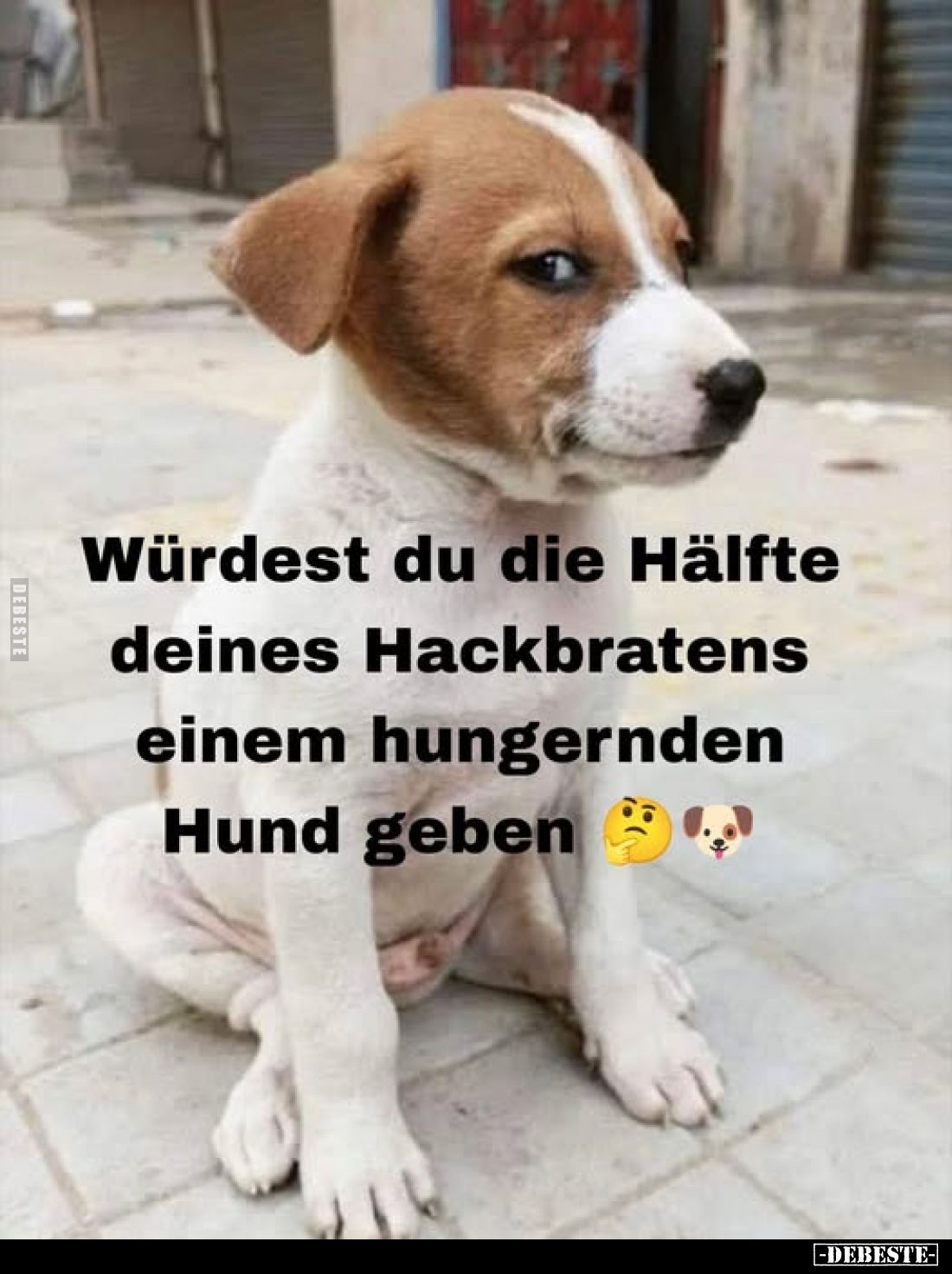 Würdest du die Hälfte deines Hackbratens einem hungernden.. - Lustige Bilder | DEBESTE.de