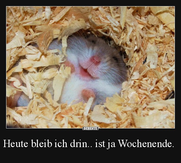 Heute bleib ich drin.. ist ja Wochenende.