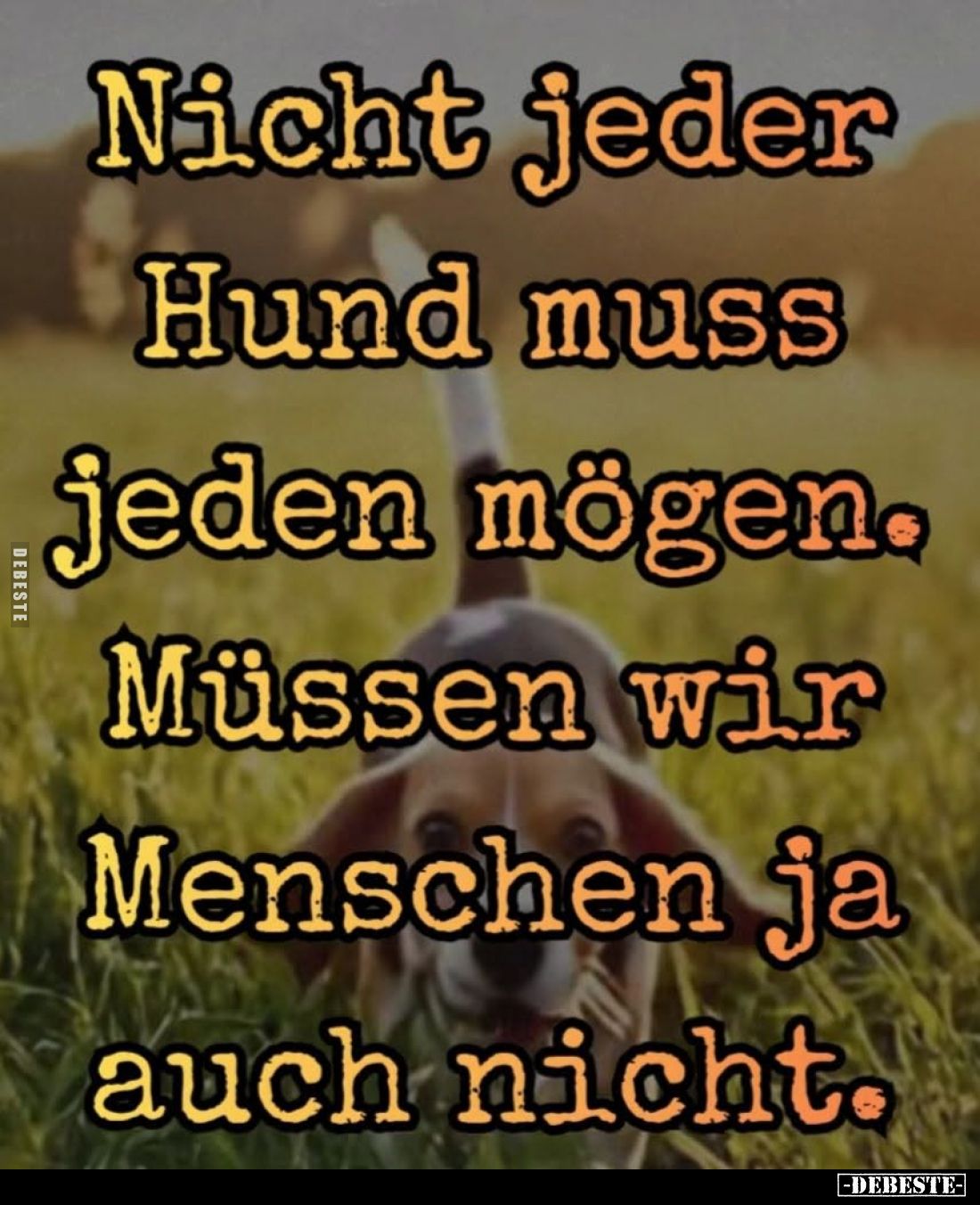 Nicht jeder
Hund muss jeden mögen.
Müssen wir Menschen ja auch nicht.