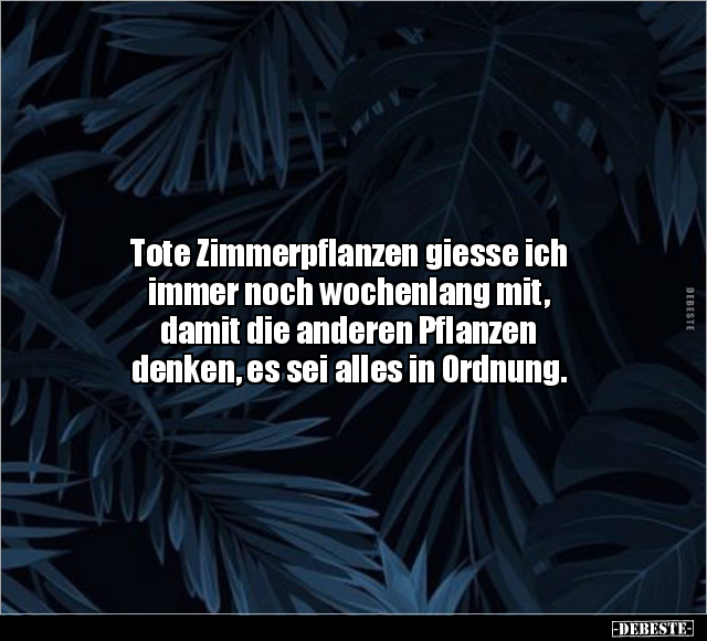 Tote Zimmerpflanzen giesse ich immer noch wochenlang mit.. - Lustige Bilder | DEBESTE.de