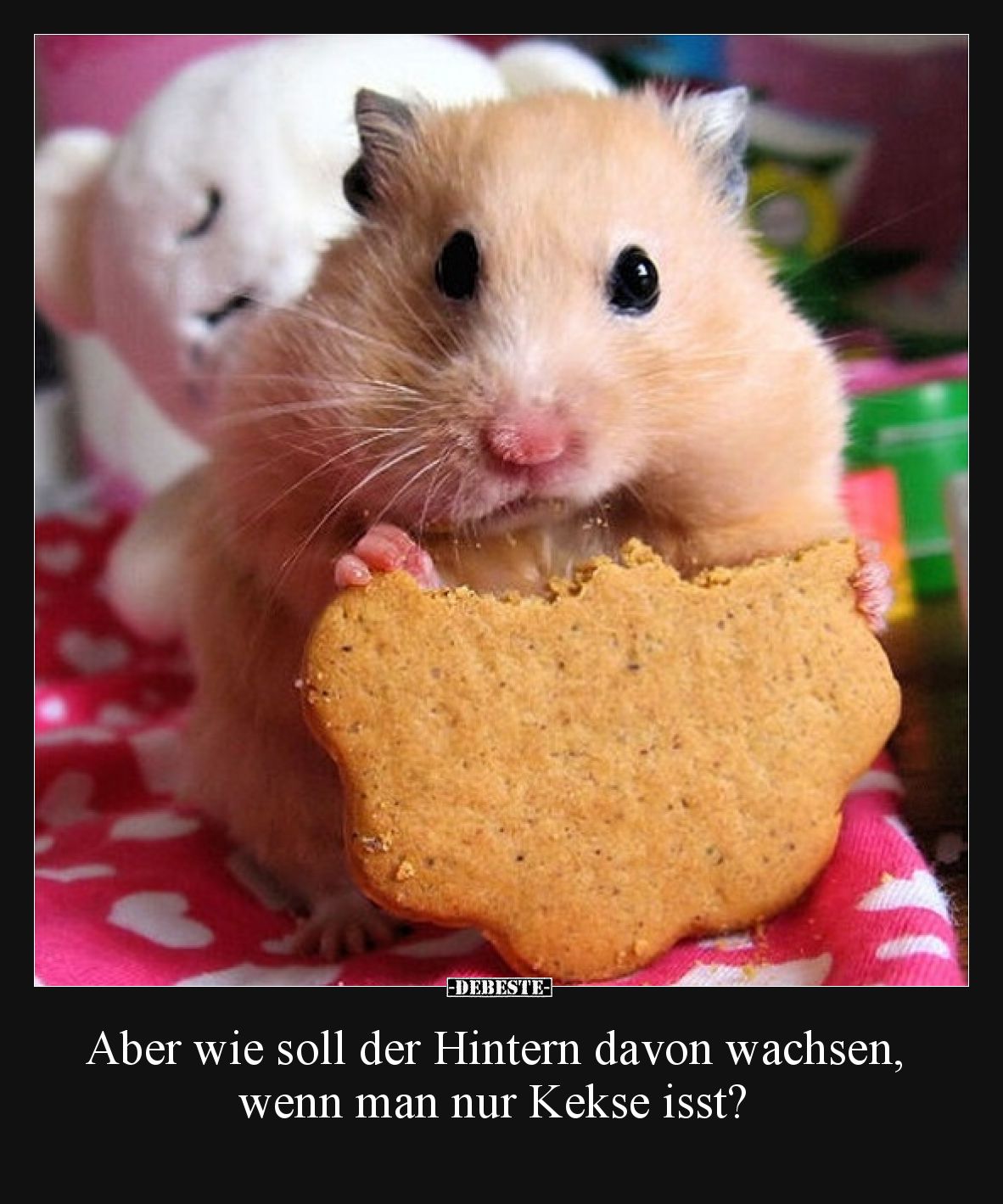 Aber wie soll der Hintern davon wachsen, wenn man nur Kekse isst?