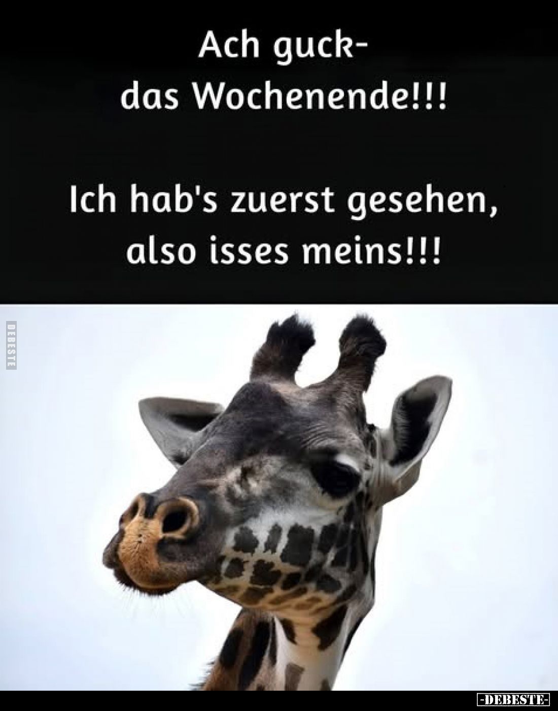 Ach guck – das Wochenende!!!
Ich hab's zuerst gesehen, also isses meins!!!