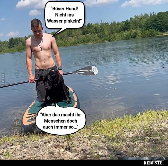 "Böser Hund! Nicht ins Wasser pinkeln!.." - Lustige Bilder | DEBESTE.de