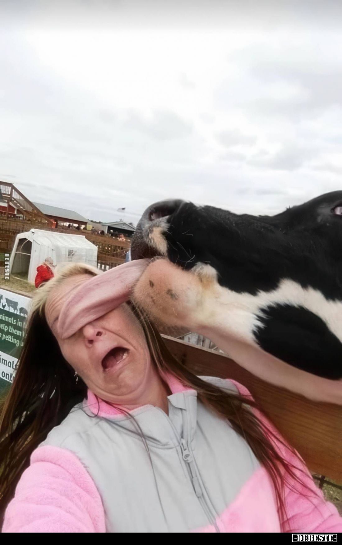 Mlem