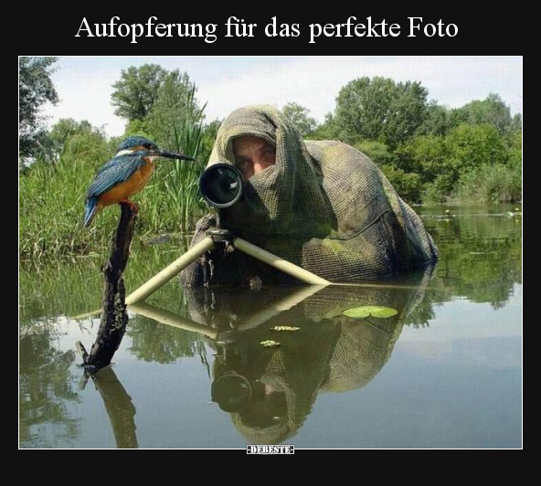 Aufopferung für das perfekte Foto.. - Lustige Bilder | DEBESTE.de