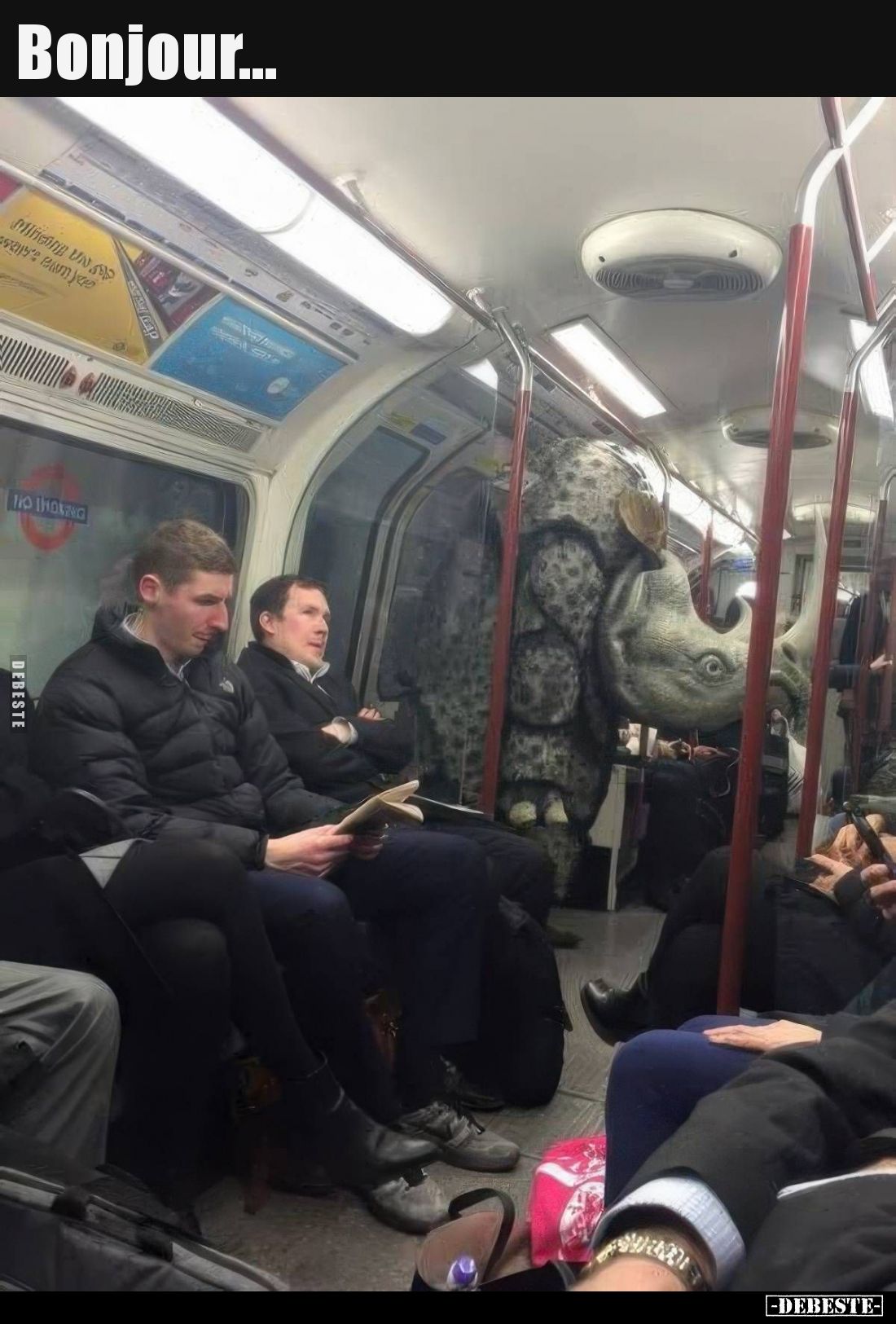 Bonjour... - Lustige Bilder | DEBESTE.de