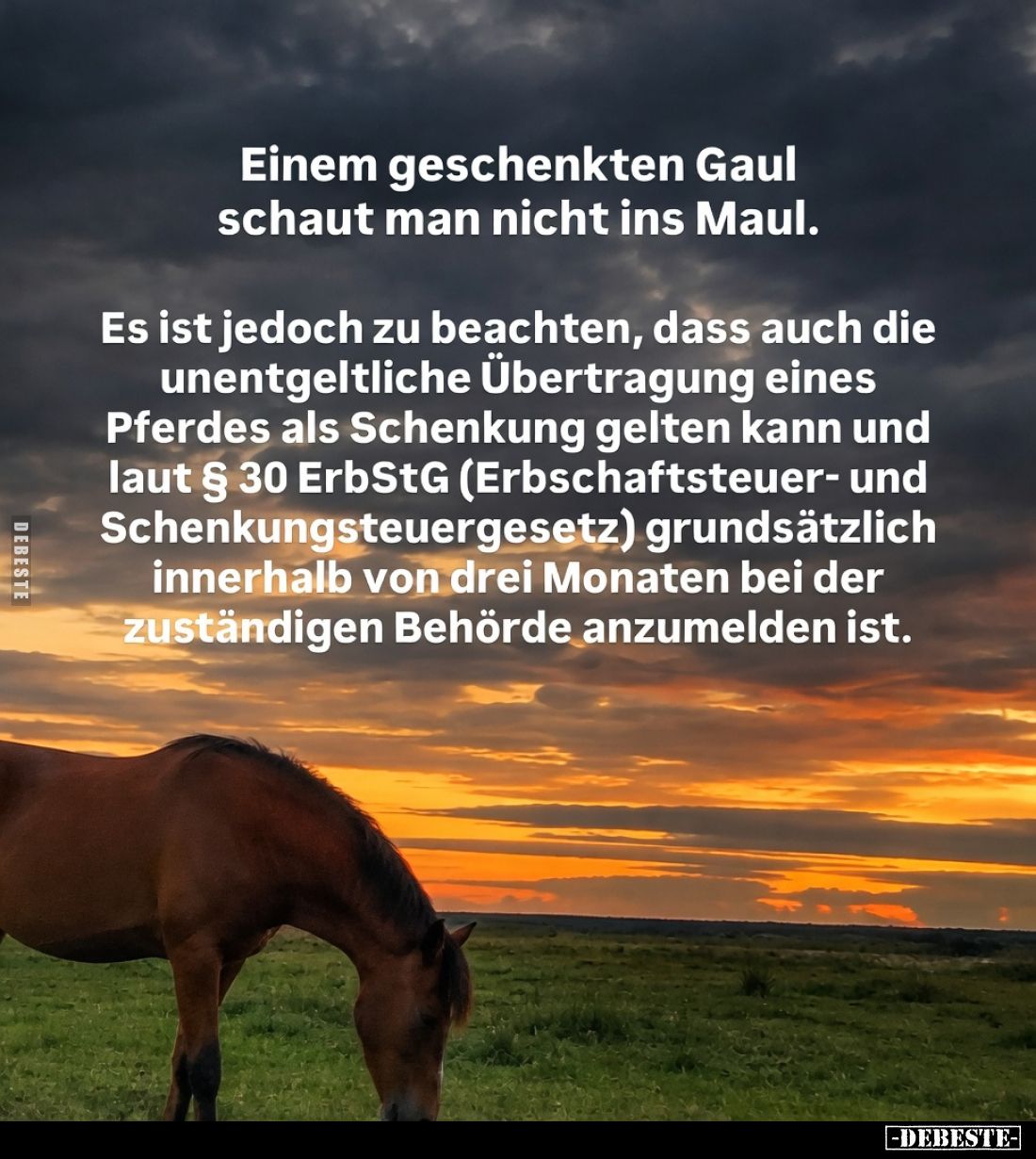 Einem geschenkten Gaul schaut man nicht ins Maul.

Es ist jedoch zu beachten, dass auch die unentgeltliche Übertragung eine...