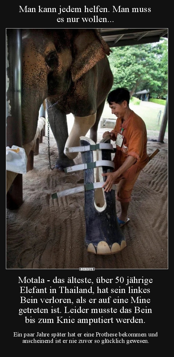 Man kann jedem helfen. Man muss es nur wollen...