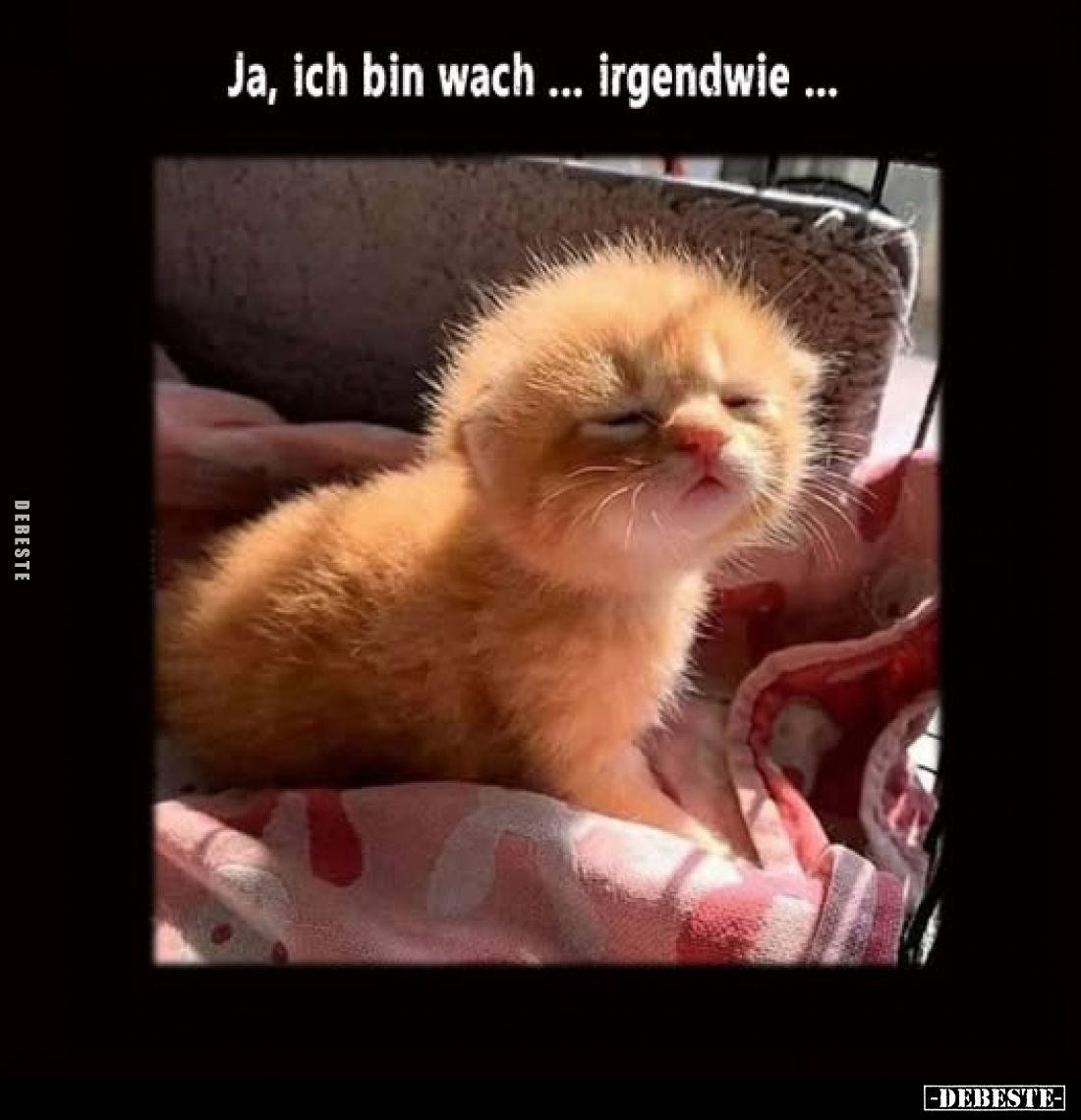 Ja, ich bin wach ... irgendwie ...