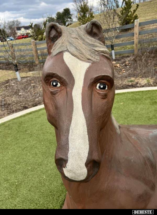  - Lustige Bilder | DEBESTE.de