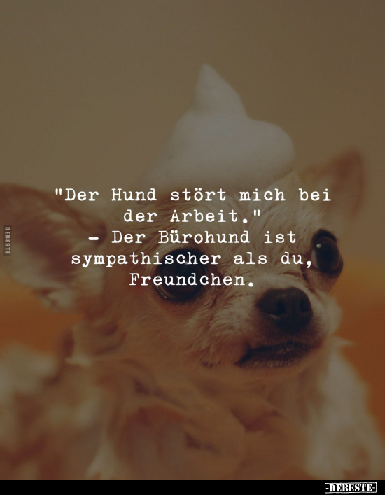 "Der Hund stört mich bei der Arbeit.." - Lustige Bilder | DEBESTE.de