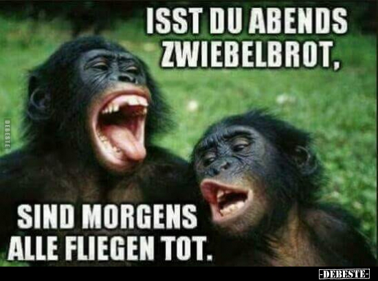 Isst du Abends Zwiebelbrot..