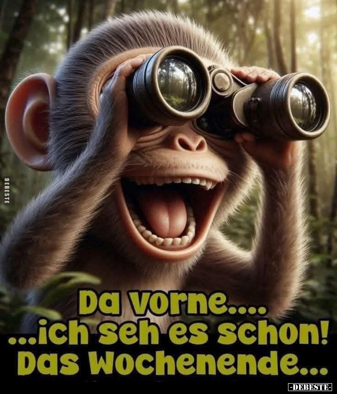Da vorne.... Ich seh es schon! Das Wochenende...